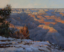 Thanksgiving Snow - Grand Canyon  8 x 10 Oil